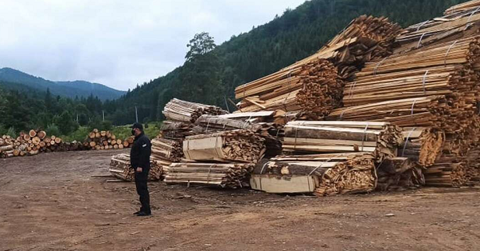 На Буковине чиновники заповедную зону рубили на лес