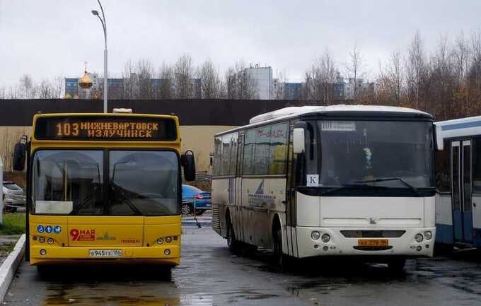 «ПАТП-1» проиграло тендер в Сургуте