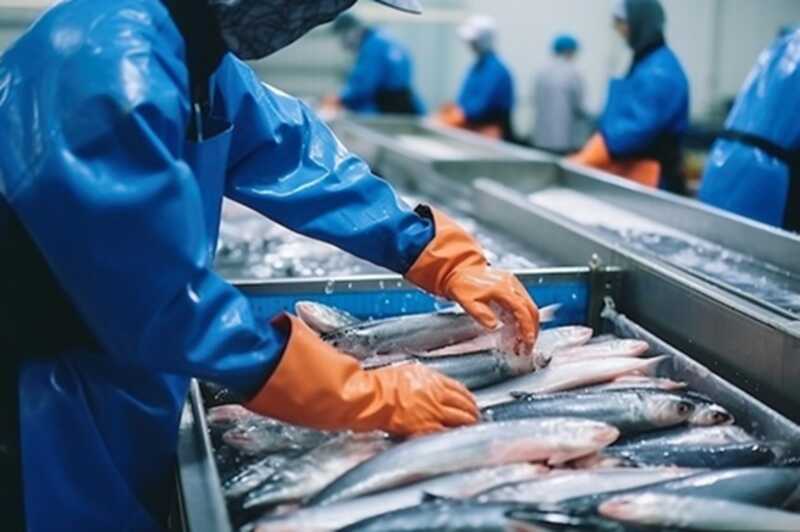 Норвегия установила ограничения для российских компаний, занимающихся рыбной ловлей, в связи с обвинениями в шпионаже
