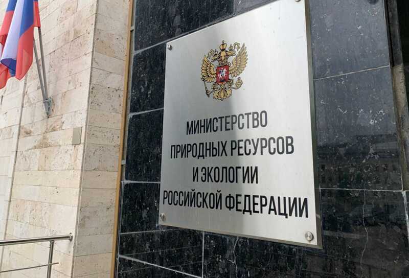 Шувалов и команда ВЭБ уничтожают Байкальский лес под предлогом «восстановления»