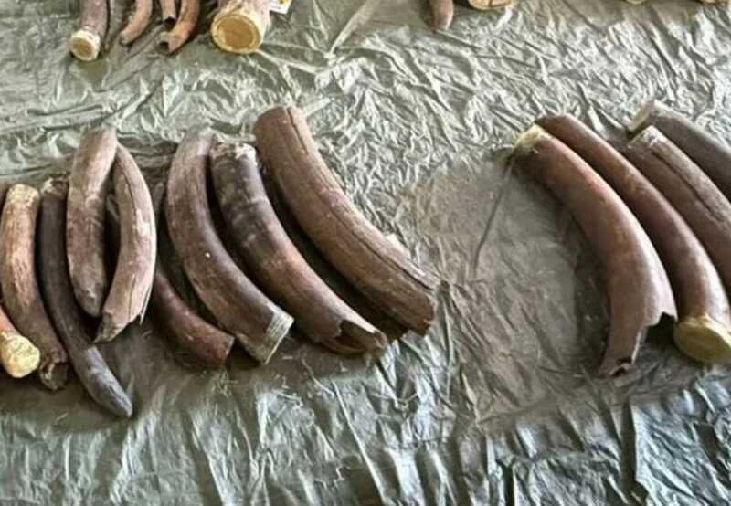 В Благовещенске задержали граждан Китая за попытку ввоза культурных ценностей