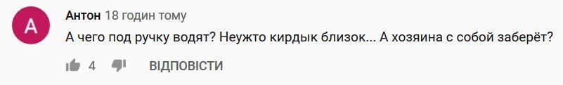 "А чего под ручку водят?" В состоянии Жириновского увидели "близкий кирдык", видео