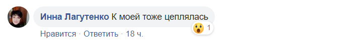 В Днепре медсестра-сектантка напала на детей посреди улицы