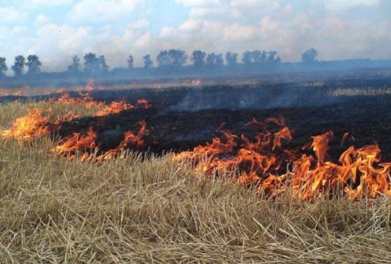 В Забайкалье задержан человек, которого подозревают в поджоге леса на площади 100 гектаров